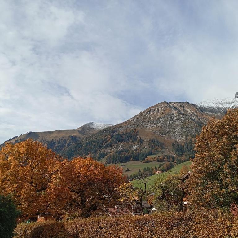 Cozy apartment in the heart of the Alps - Apartment mit 2 Schlafzimmern - 2