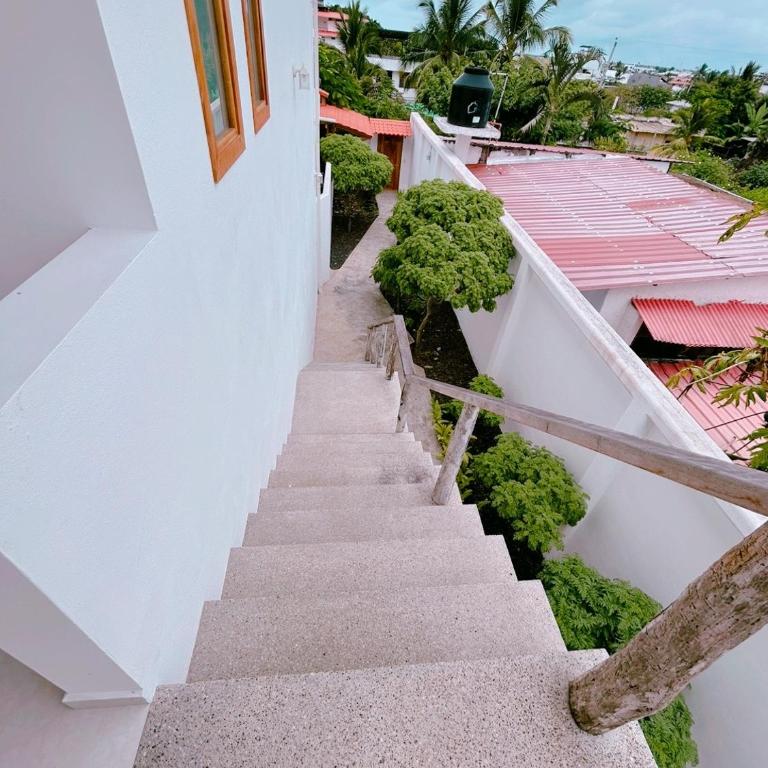 Galápagos UP Suites 1 - One-Bedroom Apartment - 21
