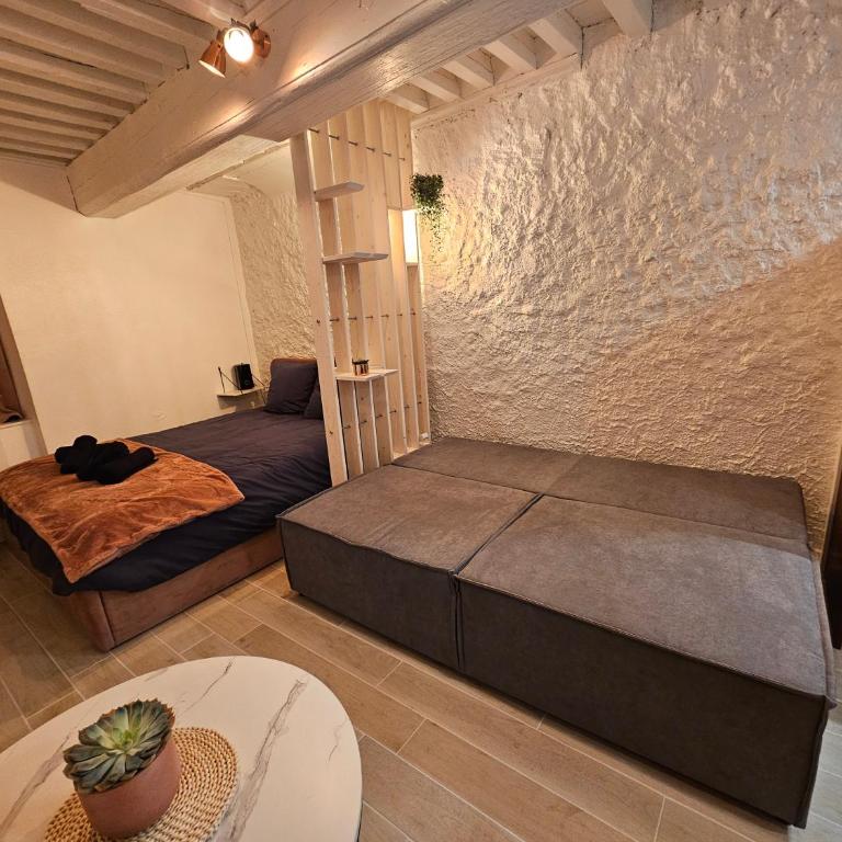Suite charmante proche du temple romain - Apartment mit 1 Schlafzimmer - 7
