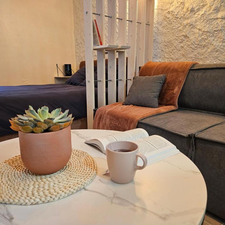 Suite charmante proche du temple romain - Apartment mit 1 Schlafzimmer - 1