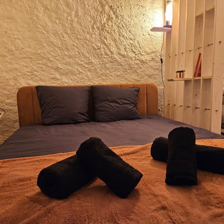 Suite charmante proche du temple romain - Apartment mit 1 Schlafzimmer - 5