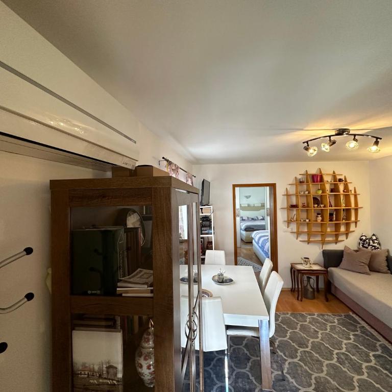 Apartman Senzor 2 - One-Bedroom Apartment - 11