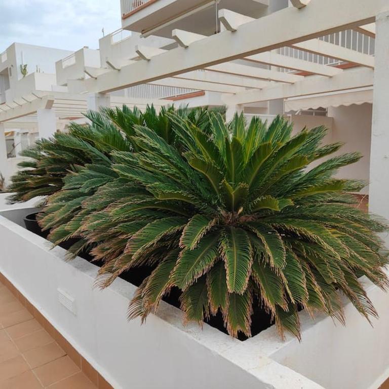 Spacious and luxurious apartment - Apartamento de 3 dormitorios - 2
