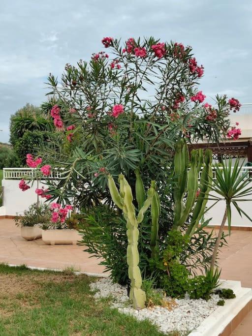 Spacious and luxurious apartment - Apartamento de 3 dormitorios - 22