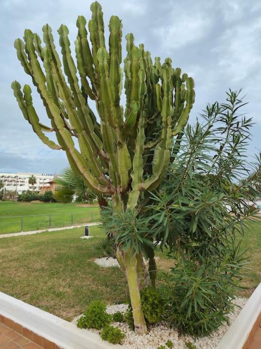 Spacious and luxurious apartment - Apartamento de 3 dormitorios - 33
