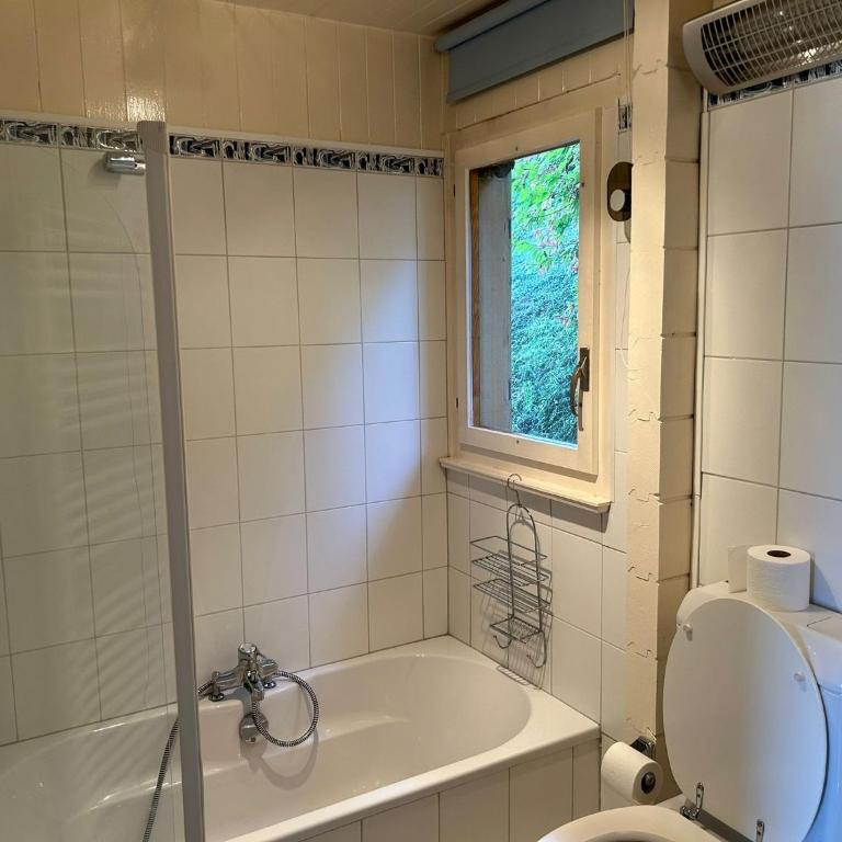 Les Trembles MOUNTAIN & QUIET chalet 12 pers - Chalet - 21