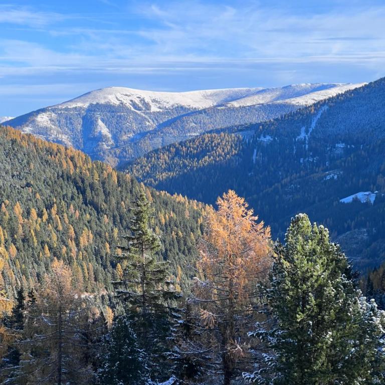 Turracher Zirbenlodges - Chalet - 14