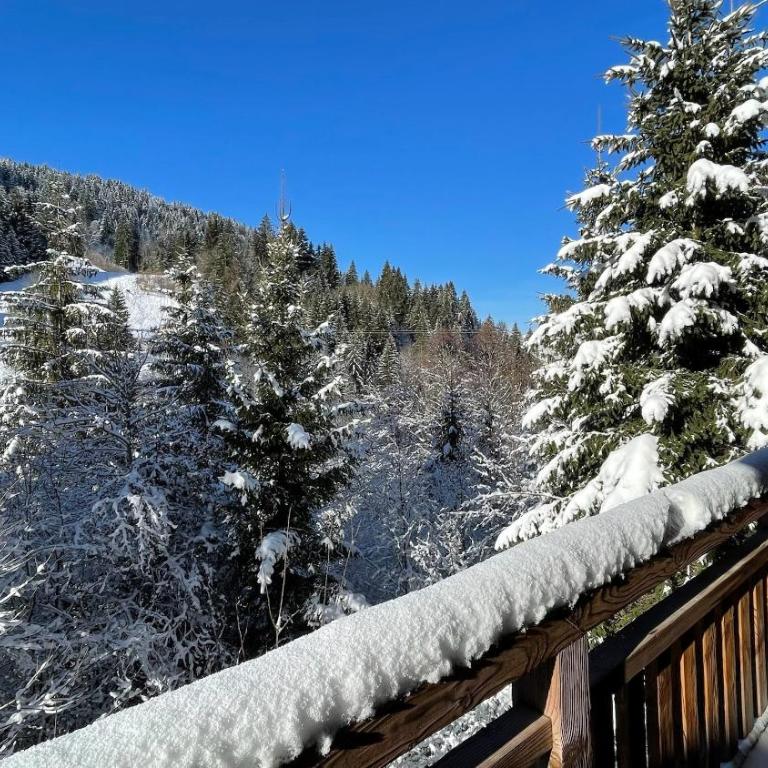 Chalet La Mésange Boréale - Apartamento - 17