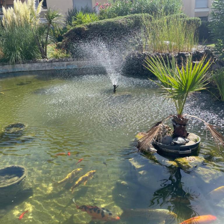 Parc De La Croisette - Studio (2 Adultes) - 43