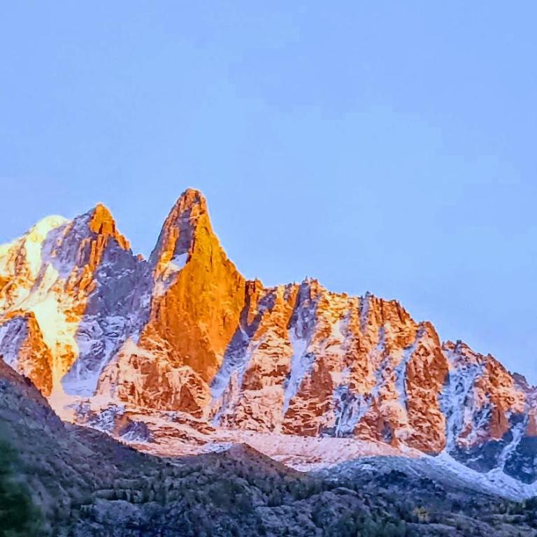 Happy Moose - Cosy Mont Blanc View apartment with sauna - Appartamento con 1 Camera da Letto - 44