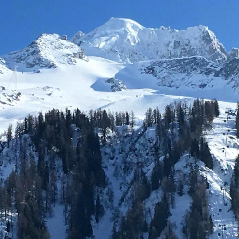 Happy Moose - Cosy Mont Blanc View apartment with sauna - Appartamento con 1 Camera da Letto - 47