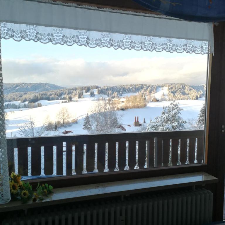Ferienwohnung Sonnenblume mit Hallenbad und Sauna - Two-Bedroom Apartment - 11