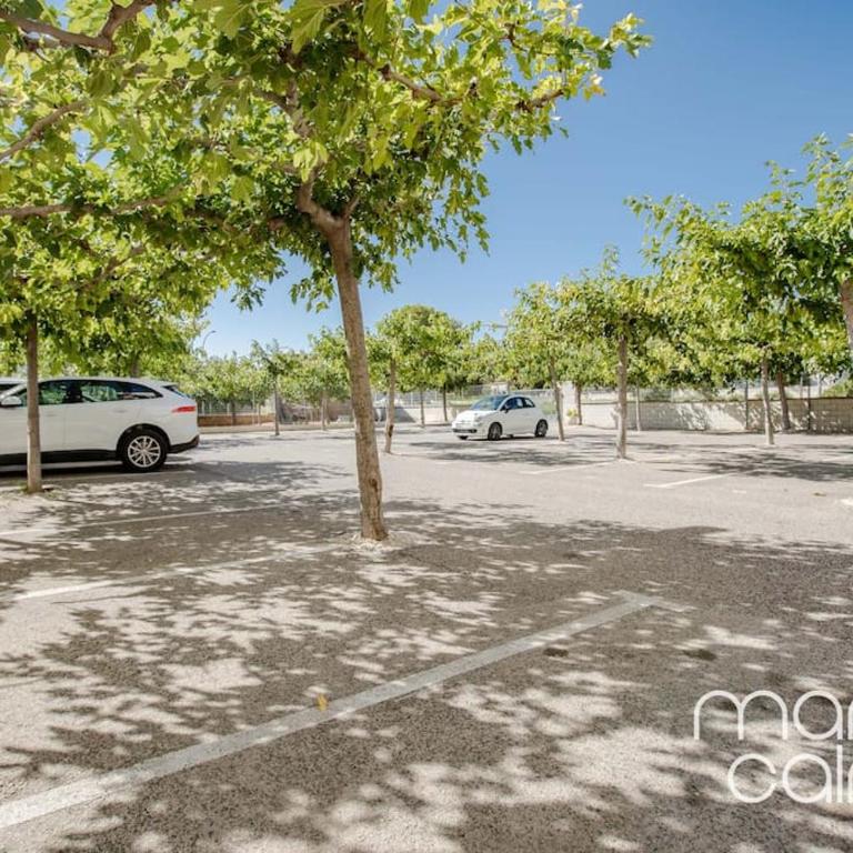 Apto. Bellavista by MarCalma - Apartamento de 2 dormitorios - 14