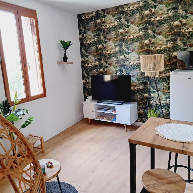 Le Jungle Appart, centre ville Narbonne - Appartamento con 1 Camera da Letto - 6