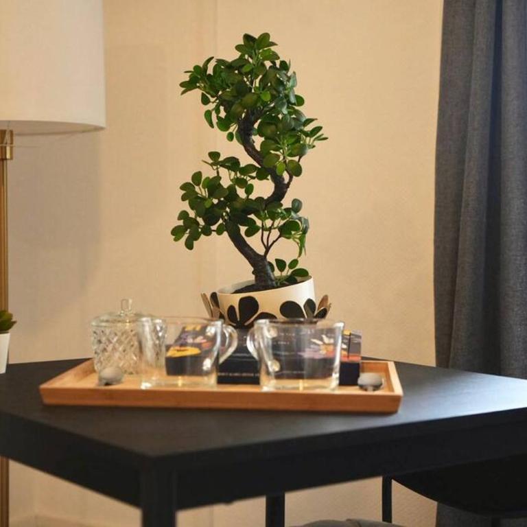 Le temple du calme - Appartement 1 Chambre - 4