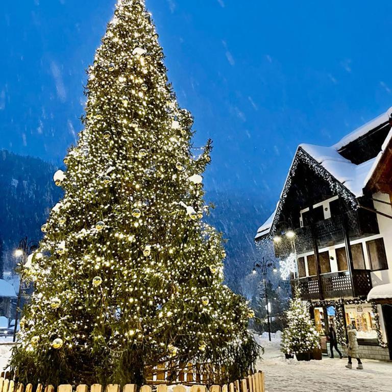 Sweet Campiglio - One-Bedroom Apartment - 14