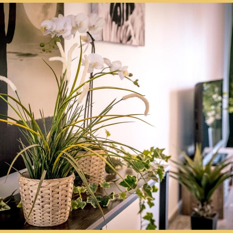 Appartement T3 I Cozy I Douvaine - Appartement 2 Chambres - 9