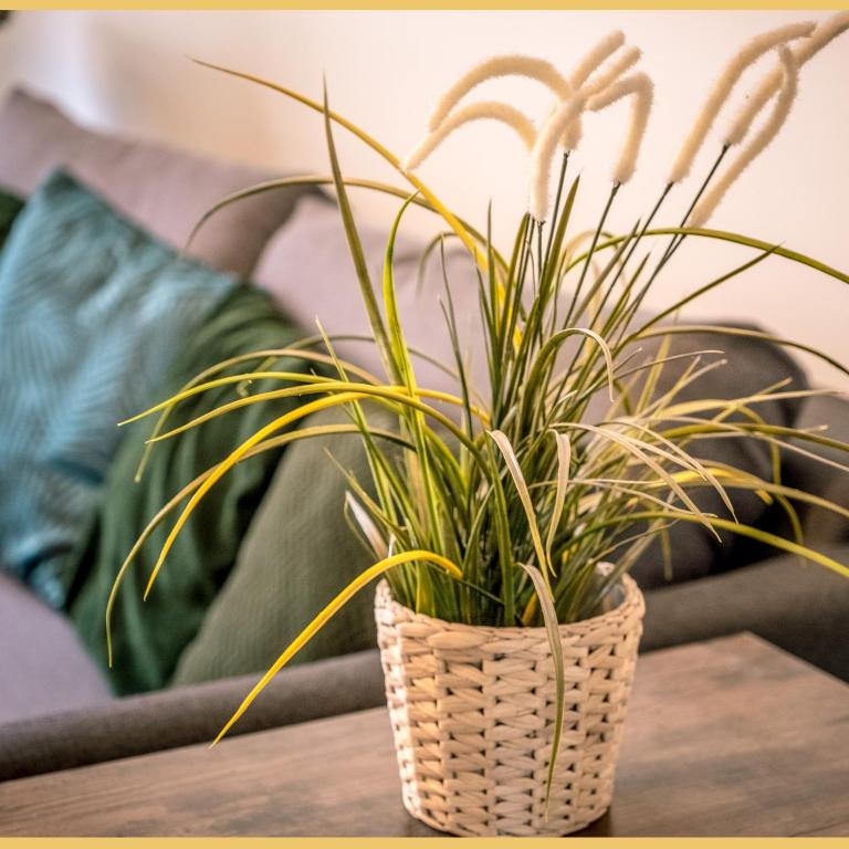 Appartement T3 I Cozy I Douvaine - Appartement 2 Chambres - 18