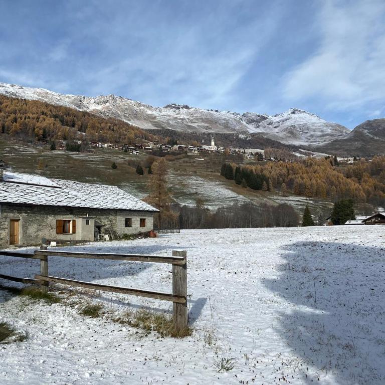 La Rondine - Appartamento Panoramico 6 Posti Letto In Villetta - Appartamento con 2 Camere da Letto - 22