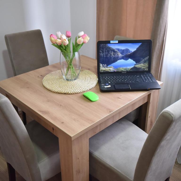 Apartman 1 - One-Bedroom Apartment - 10