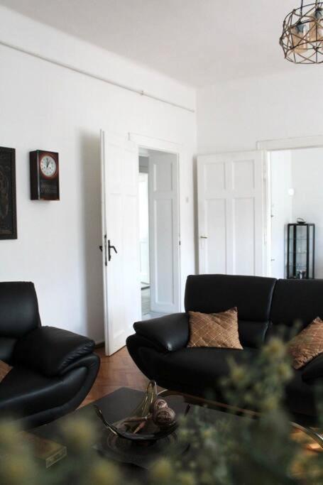 Monarch Apartment - Apartman sa 2 Spavaće Sobe - 8