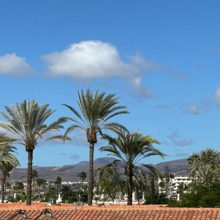 Loris Home playa ingles 50mt from Yumbo by luca properties gran canaria - Two-Bedroom Apartment - 11