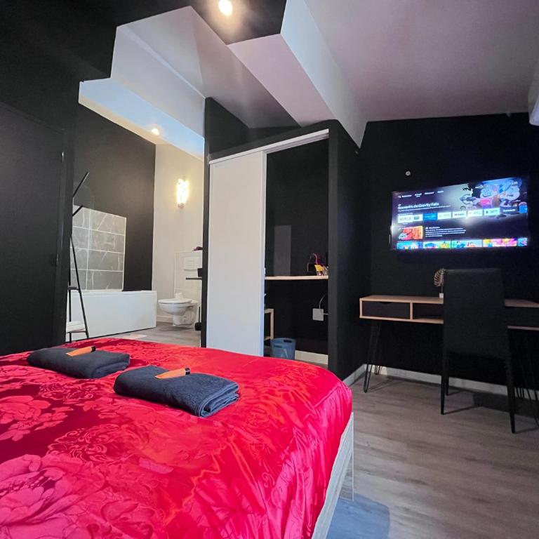 Studio Baignoire centre ville - Apartment mit 1 Schlafzimmer - 2