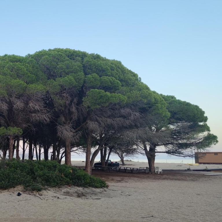 casa su rimediu - Casa Vacanze - 58