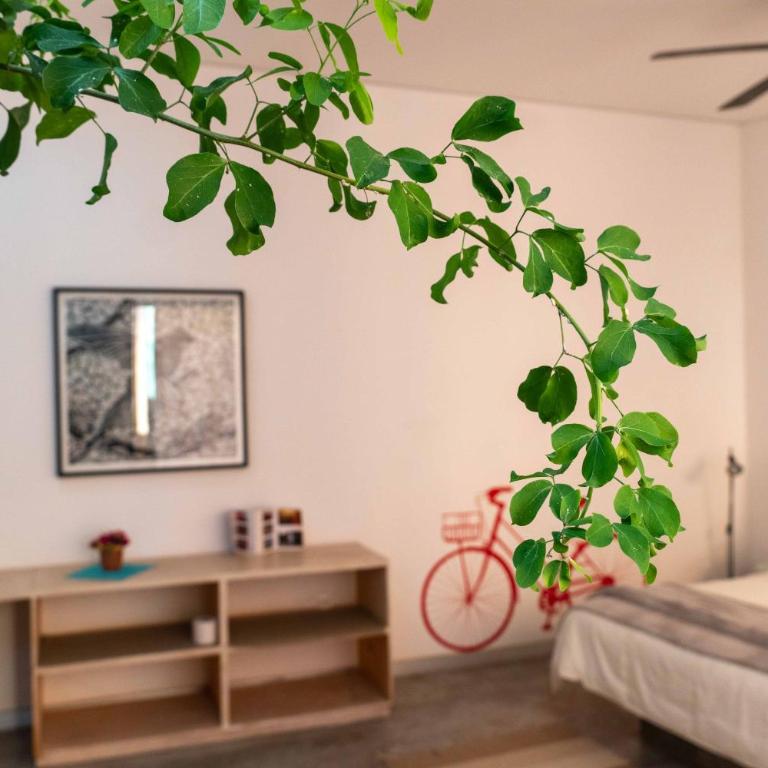 Hotel Cosijo - San Jeronimo Tlacochahuaya - Habitación con cama extragrande. - 2