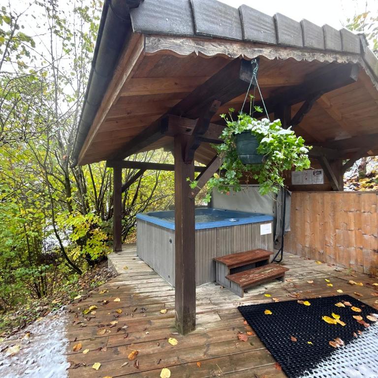 Chalet Adonis - Montriond, Morzine, Avoriaz - Chalet - 68