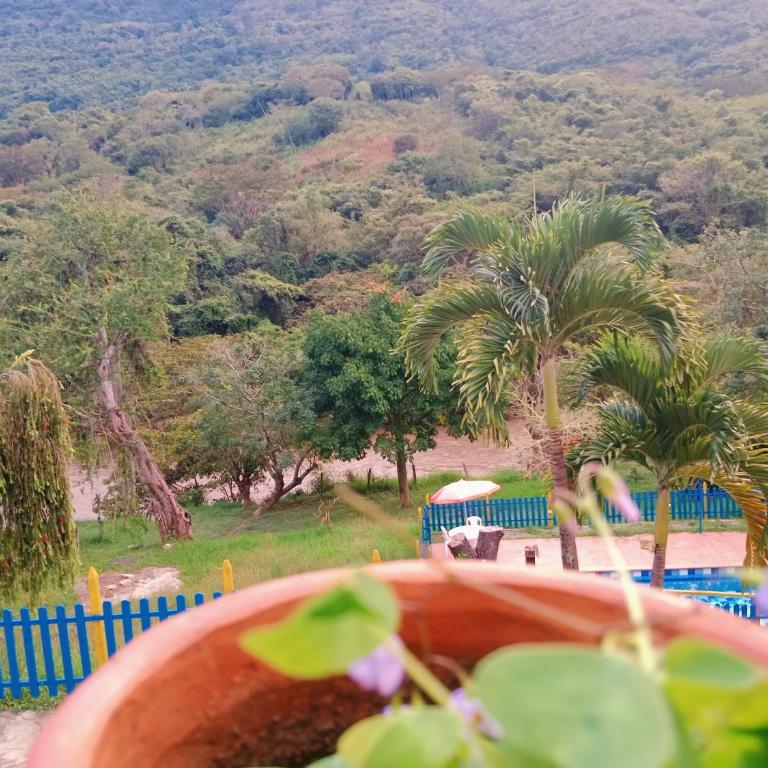 Apartamento Campestre Con Piscina Villa Lucy - Apartamento de 2 dormitorios - 51