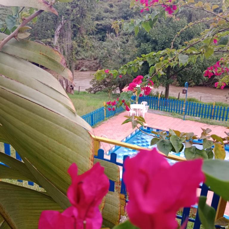 Apartamento Campestre Con Piscina Villa Lucy - Apartamento de 2 dormitorios - 87