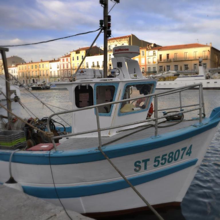 ''Luigi'' BALCON SUR LA MER et le Port de Sète - Appartement 1 Chambre - 31