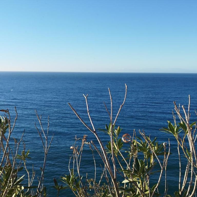 Vistas al Mar y parking gratis - Apartamento de 3 dormitorios - 46