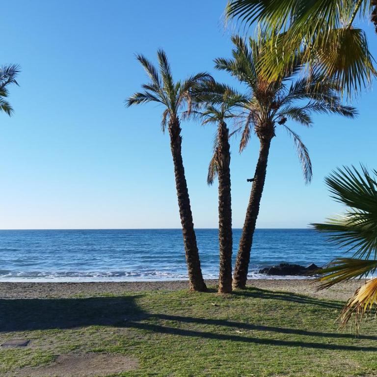 Vistas al Mar y parking gratis - Apartamento de 3 dormitorios - 25