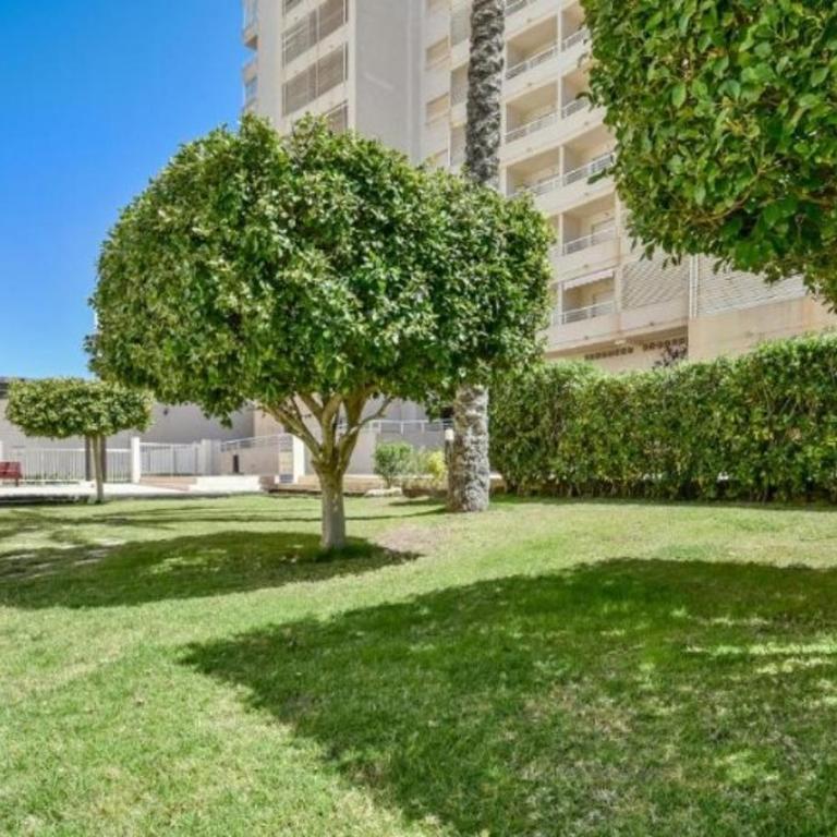 Homeincalpe Apolo XVI 2-11-52 - Apartamento de 2 dormitorios - 16
