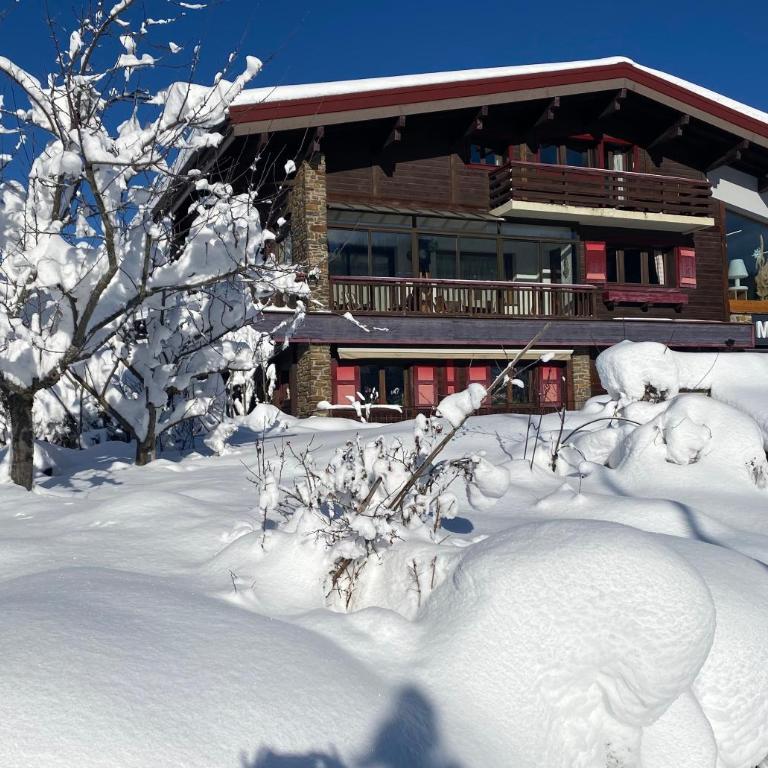 appartement 103m2 près de Megève, face à télécabine la Princesse,2 chambres , garage, local à ski - Appartement 2 Chambres - 45