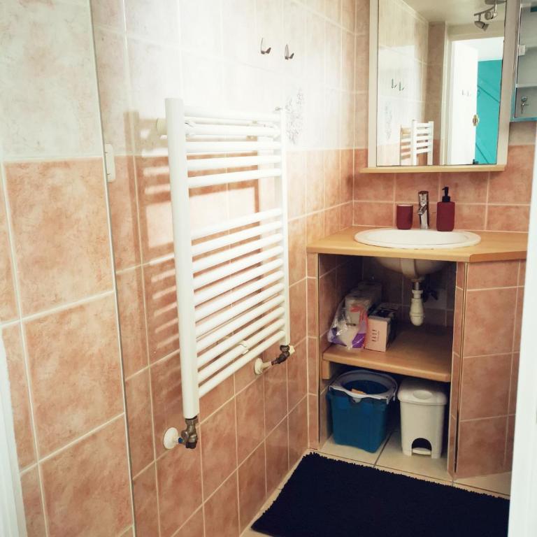 T1 bis, jardin, proche du centre - One-Bedroom Apartment - 8