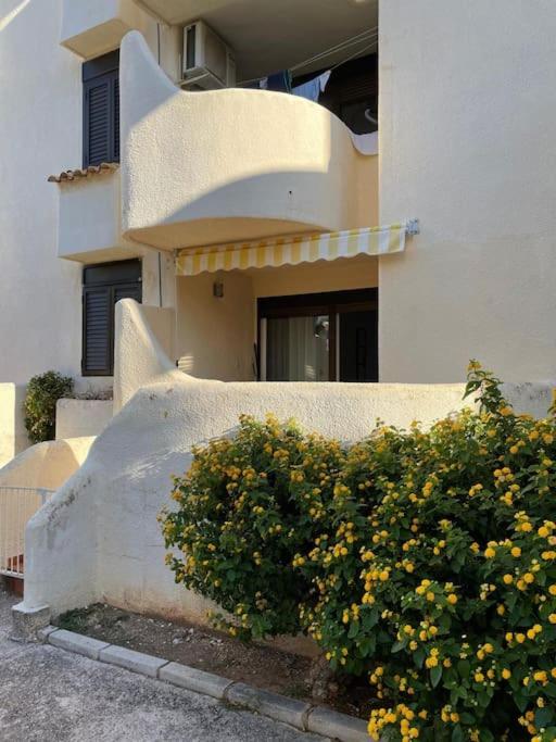 Apartamento Los Cactus - Apartamento - Planta baja - 18