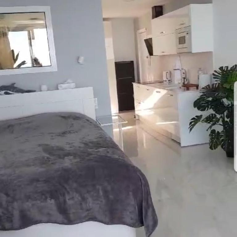 Impresionante - Apartamento de 1 dormitorio - 22