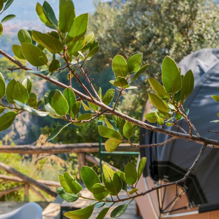 Hostel & Glamping Santa Fortunata - Tent Dodôme - 4