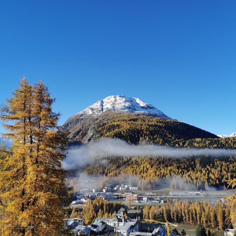 Ferienwohnung Pontresina - Chesa Andrea - Gartensitzplatz - Apartment mit 3 Schlafzimmern - 3