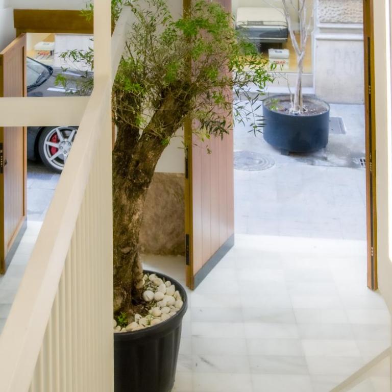 Catalina Suites Apartments Downtown Valencia - Deluxe Apartment - 7