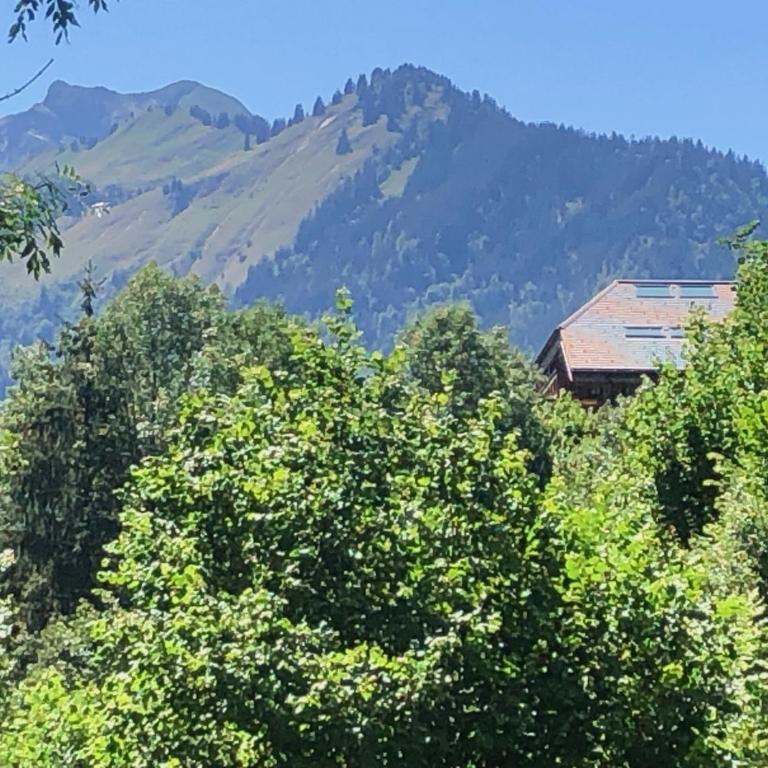 Le Refuge Au Pied d'Hauto - Apartment mit 3 Schlafzimmern - 16