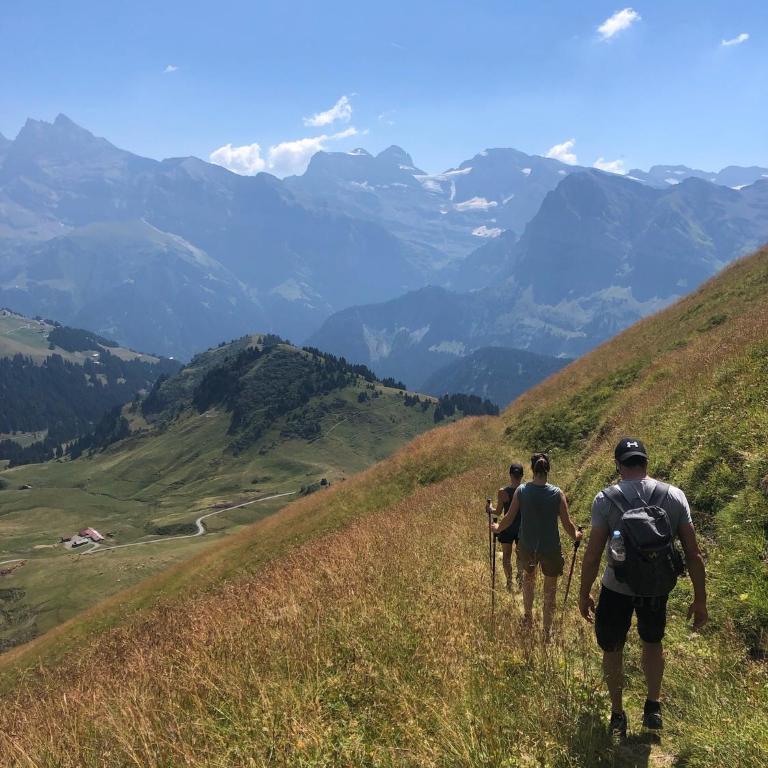 Le Refuge Au Pied d'Hauto - Apartment mit 3 Schlafzimmern - 15