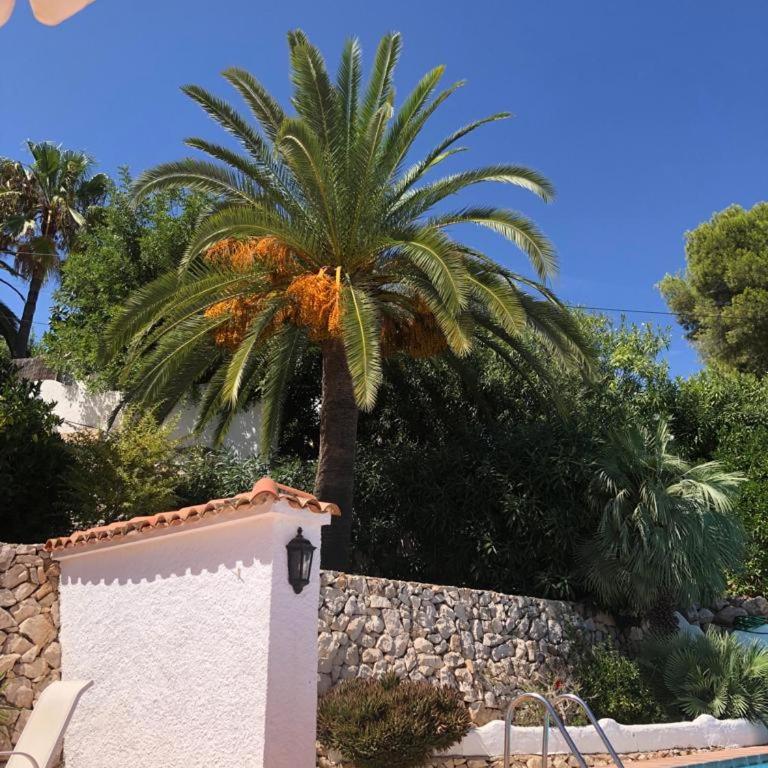 Apartamento los Delfines - Casa - 13