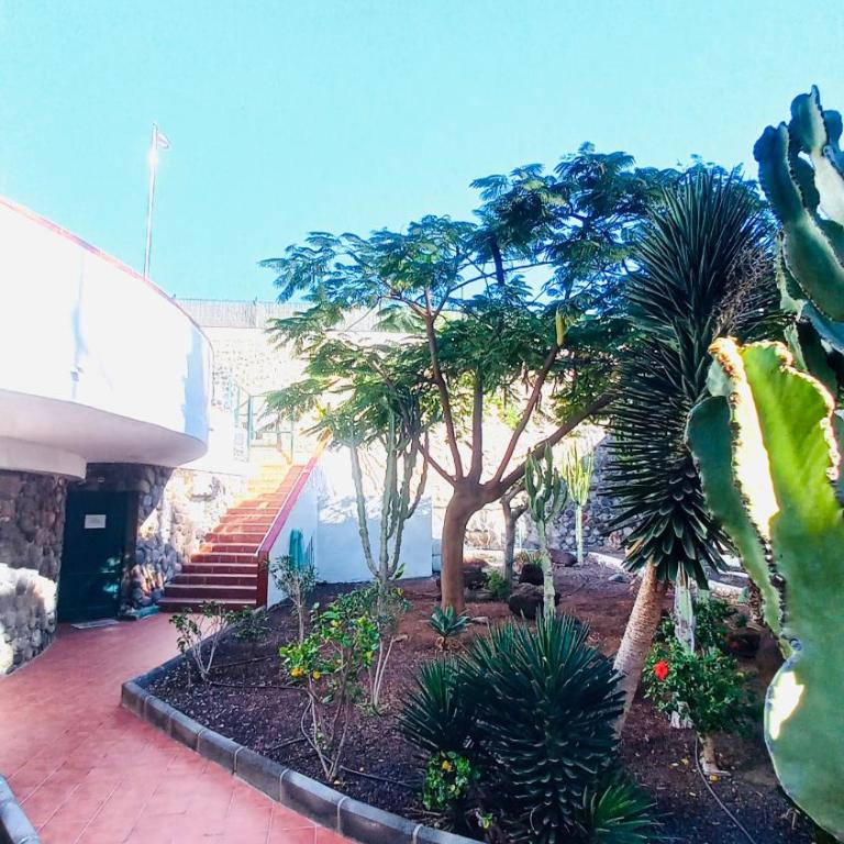 Guinea Apartment - Apartamento de 1 dormitorio - 28