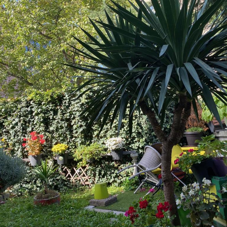 Villa St. Mark’s - Apartman sa 1 Spavaćom Sobom - 24