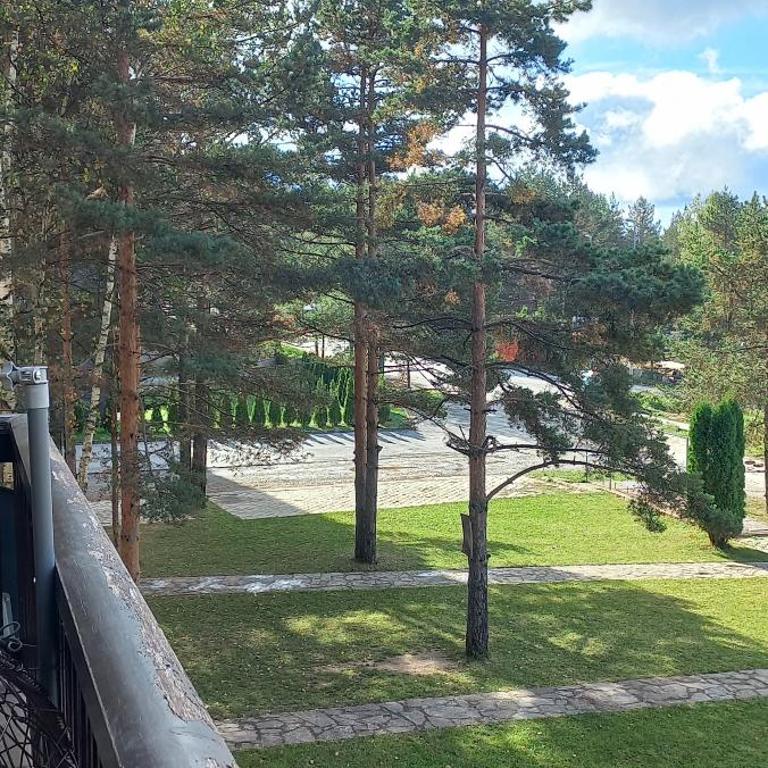 Divčibare Snežna Kraljica ap 13 - Apartman sa 1 Spavaćom Sobom - 37