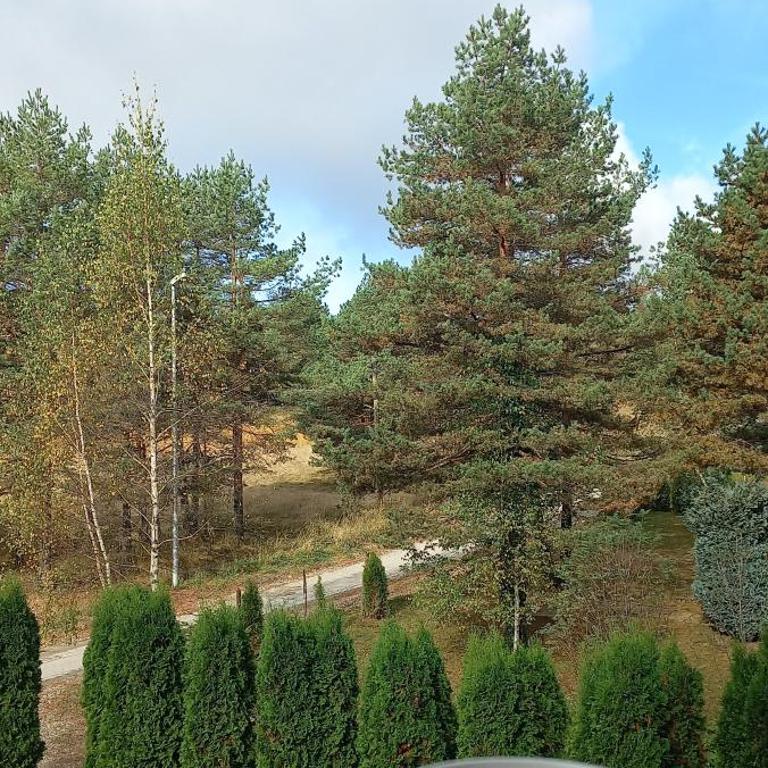 Divčibare Snežna Kraljica ap 13 - Apartman sa 1 Spavaćom Sobom - 32